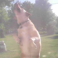 Jennifer Allinger Photo 4