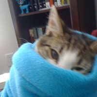 Amy Valencia Photo 16