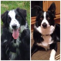 Janet Hammonds Photo 9