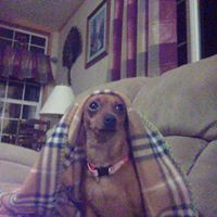 Lisa Vanover Photo 25