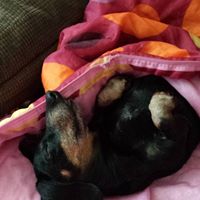 Alicia Broome Photo 4