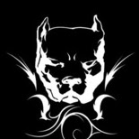 Jeremy Cummings Photo 26