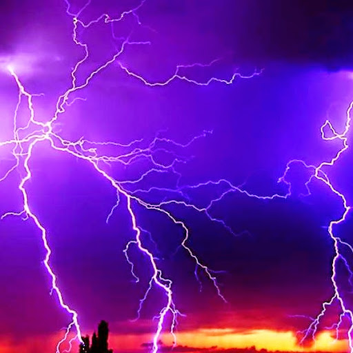 Tabatha Williams Photo 18