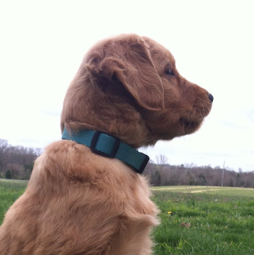 Julie Starr Photo 26