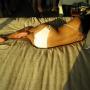 Tuyen Tran Photo 38