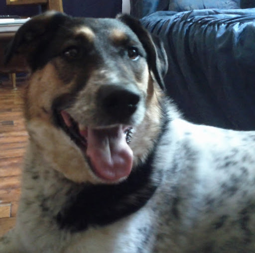 Michael Finn Photo 54 Michael Finn Photo 54