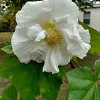 Eileen Ferraro Photo 2