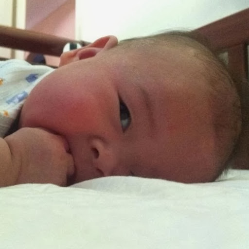 David Tsang Photo 5