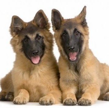 Gregory Davidson Photo 8 Gregory Davidson Photo 8