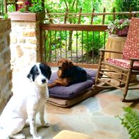 Debra Compton Photo 18