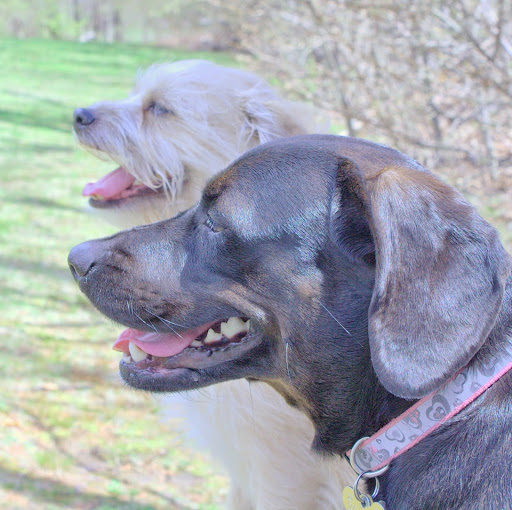 Robert Horan Photo 11