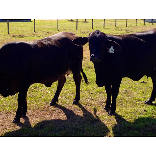 Jeff Burger Photo 40