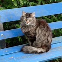 Emily Benjamin Photo 8