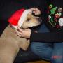 Michelle Jessen Photo 8