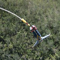 Candace Driver Photo 5