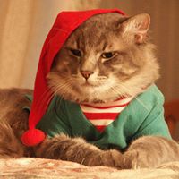 Sally Mayfield Photo 9