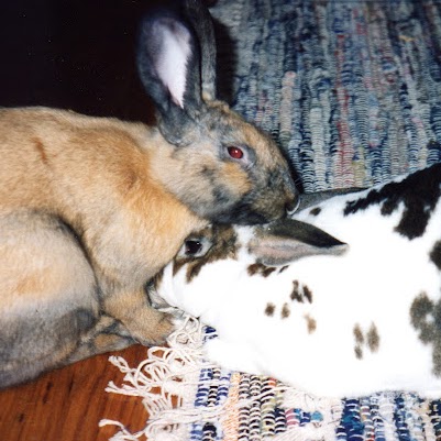 Fred Tate Photo 4 Fred Tate Photo 4