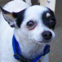 Jeanette Hurst Photo 21