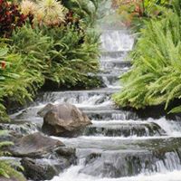 Asha Singh Photo 25 Asha Singh Photo 25