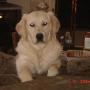 Kim Odom Photo 25