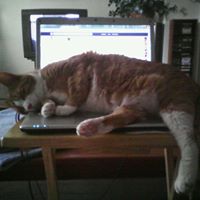 Katherine Simon Photo 14