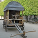Qui Huang Photo 5