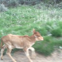 Merrill Johnson Photo 25