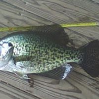 Danny Farris Photo 17