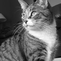 Michelle Dumont Photo 22