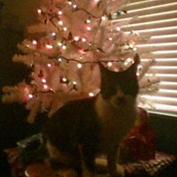 Paula Hilliard Photo 9