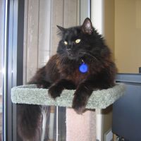 Edward Hansen Photo 6