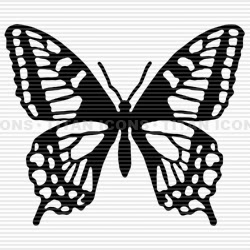 Terri Reynolds Photo 22