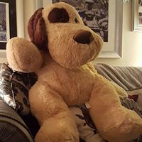 Leslie Hughes Photo 6