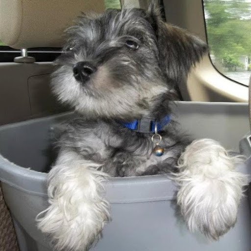 Steven Hurst Photo 31