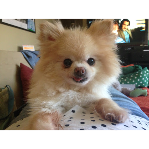 Angela Foreman Photo 12