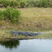 Richard Decoursey Photo 7