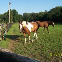 Deborah Connors Photo 20