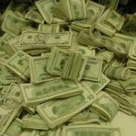 Shawn Cannon Photo 35