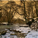 Gladys Wells Photo 16