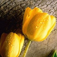 Jeremiah Holmes Photo 23