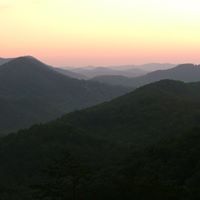 Carol Dotson Photo 21