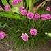 Denise Wolfe Photo 26