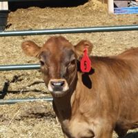 Laura Workman Photo 10