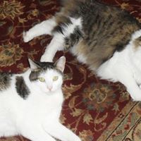 Mary Devlin Photo 17 Mary Devlin Photo 17