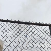 William Colson Photo 11