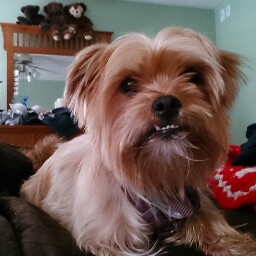 Melinda Zimmerman Photo 1