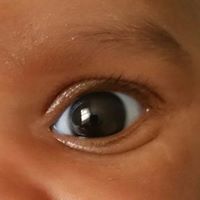 Rachel Pierre Photo 14