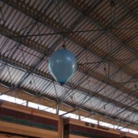 Vanessa Chen Photo 31