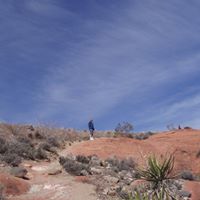 Denise Downing Photo 19