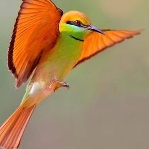 Priscilla Richardson Photo 12